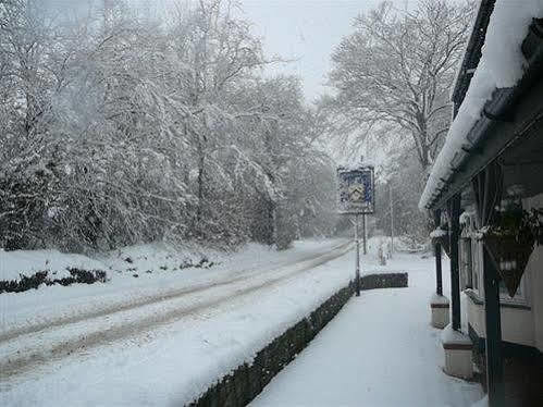 The Bickford Arms Inn Holsworthy Eksteriør billede